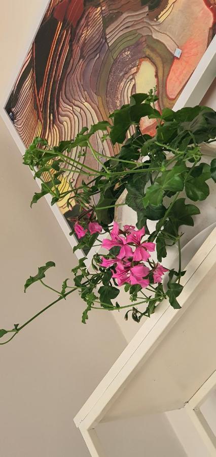 De Studio Homestay ハノイ市 エクステリア 写真