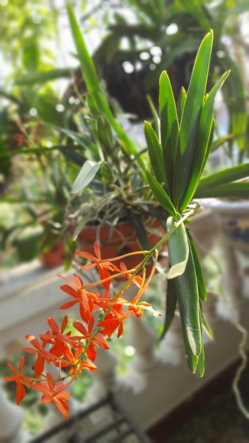 De Studio Homestay ハノイ市 エクステリア 写真